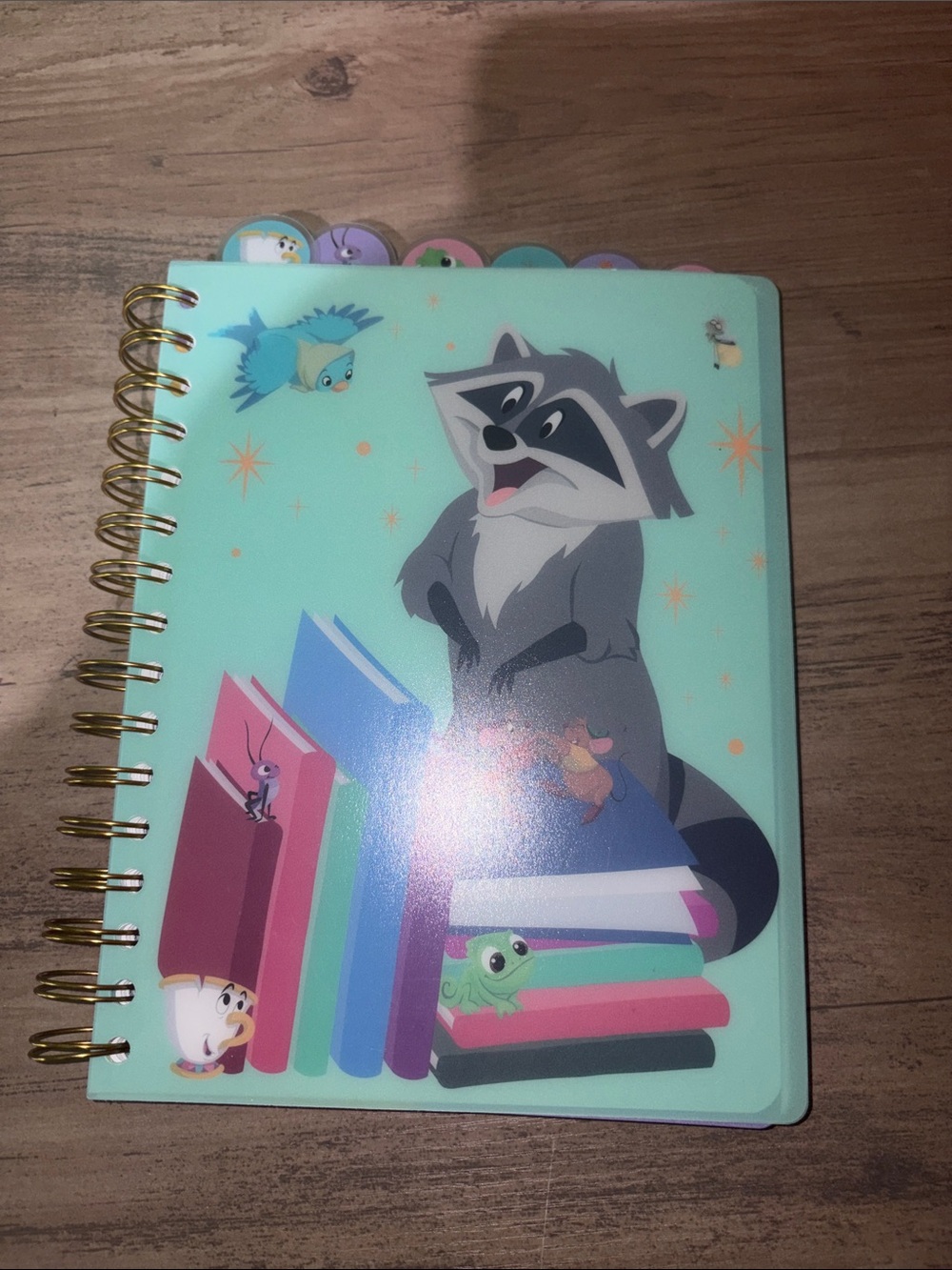 🆕💜 NWT Disney Sidekicks Meeko Pascal Chip Tabbed Journal Notebook